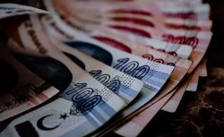 Çiftçilere 10,6 milyar TL’lik destek ödemesi hesaplara yatıyor