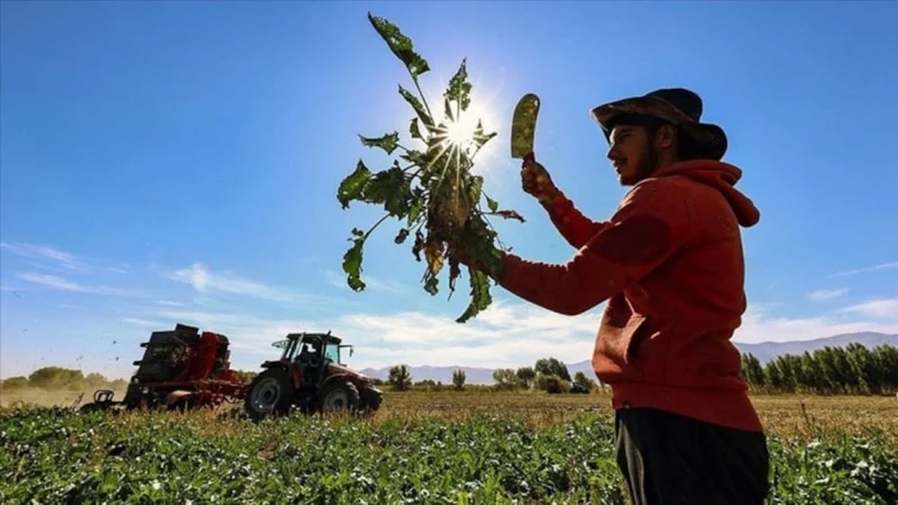 Tarım üreticilerinin beklemediği gelir hesaba yattı