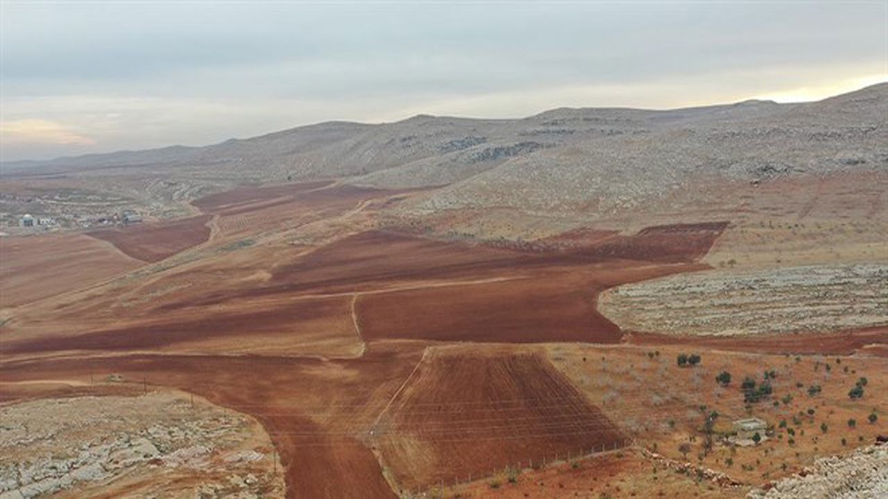 İşlenmeyen tarım arazileri üretime kazandırılacak: %75’e kadar hibe